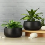 Homspurts Matte Black Metal Planters on Amazon India