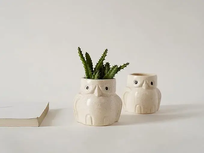 LOCALKALA Ceramic Owl Planters on Amazon India