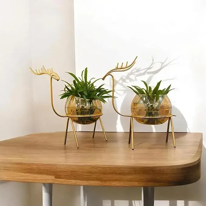 MAXXINN Gold-Plated Deer Glass Planter Set on Amazon India