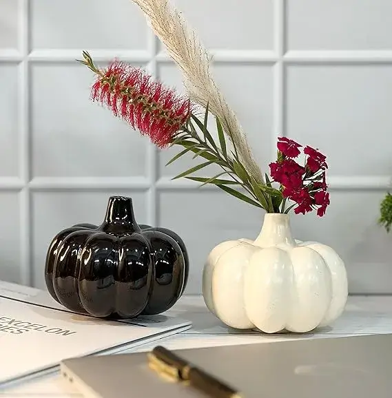 Praahi Lifestyle Ceramic Pumpkin Vases (Set of 2, Black & White) on Amazon India