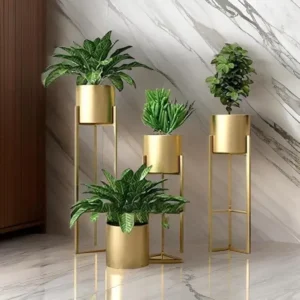 World Fire Metal Floor Flower Stands on Amazon India